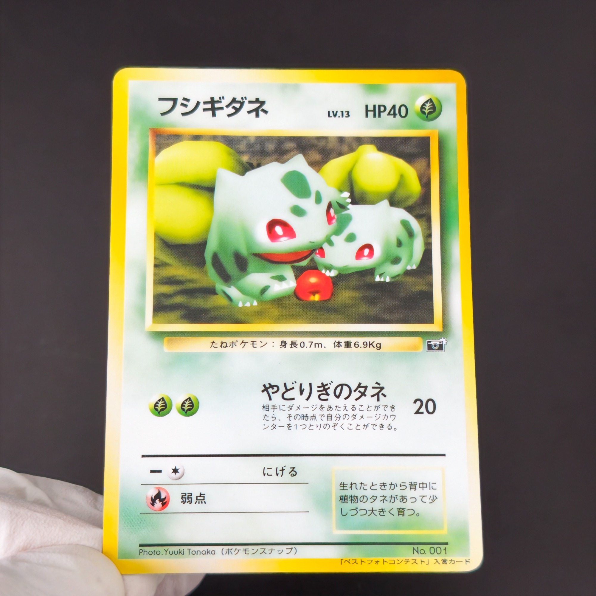 10 قطع من بطاقات بوكيمون الكلا - مراجعة Vintage Pokemon Collectible وسعره